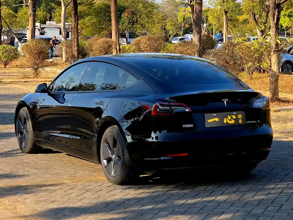 Tesla Model 3 2021 из CN, фото 5