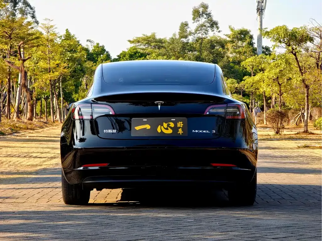 Tesla Model 3 2021 из CN, фото 7