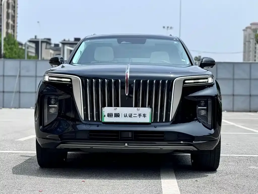Hongqi E-HS9 — фото 7