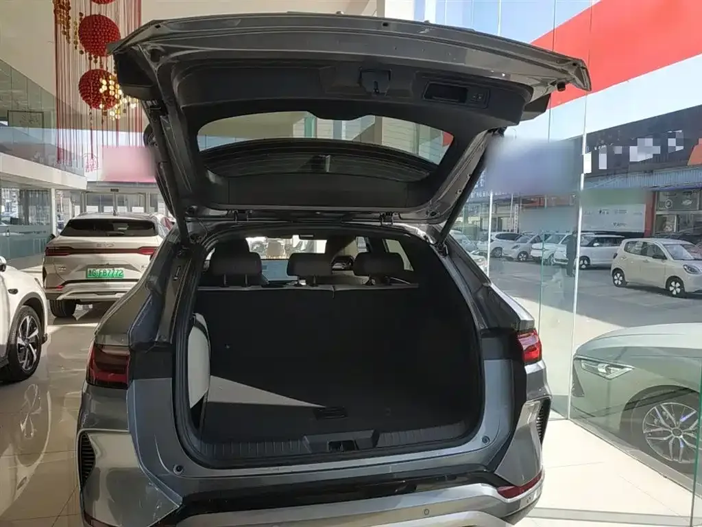BYD PLUS New Energy 2025 из CN, фото 5