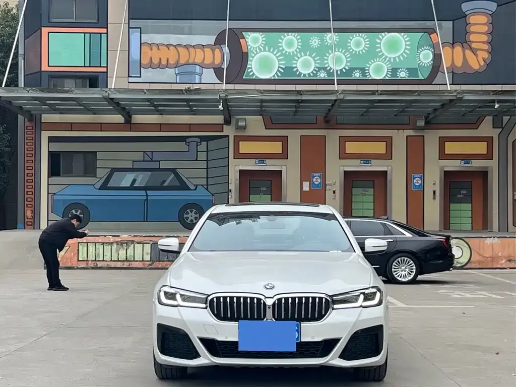 BMW 5 Series 2022 из CN, фото 4