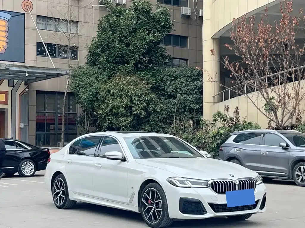 BMW 5 Series 2022 из CN, фото 9