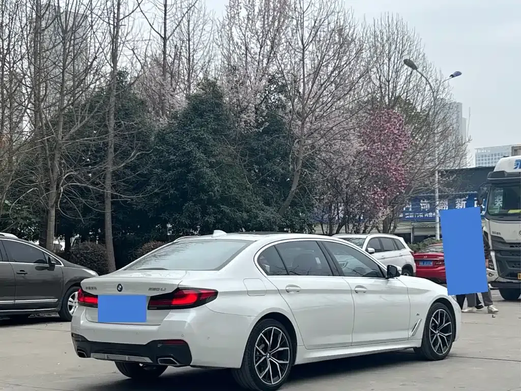 BMW 5 Series 2022 из CN, фото 10
