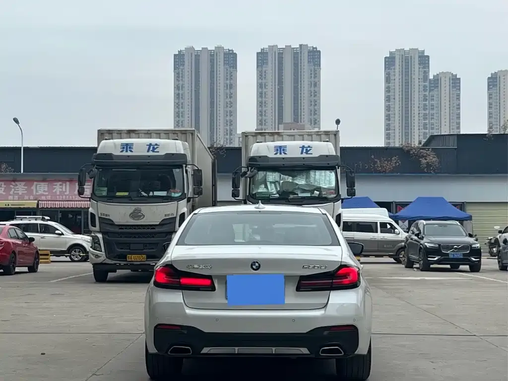 BMW 5 Series 2022 из CN, фото 3