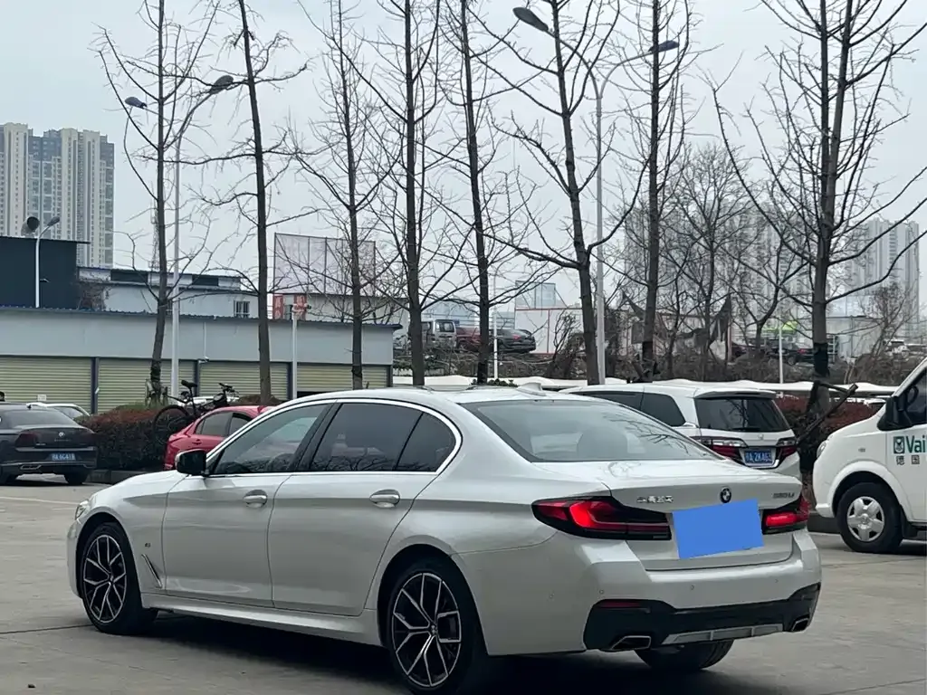 BMW 5 Series 2022 из CN, фото 7