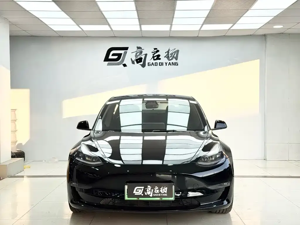 Tesla Model 3 2021 из CN, фото 2