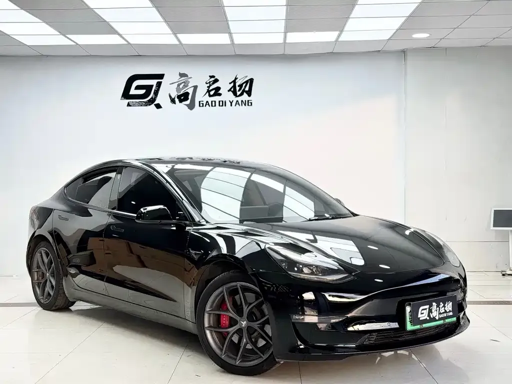 Tesla Model 3 2021 из CN, фото 3