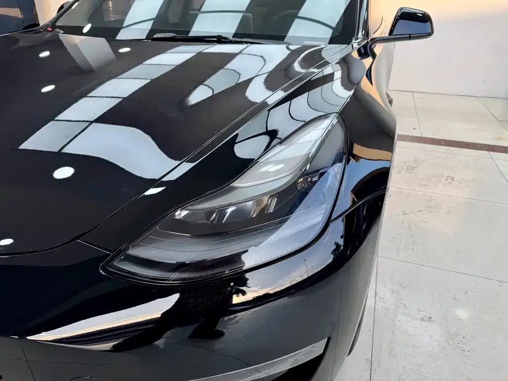 Tesla Model 3 2021 из CN, фото 4