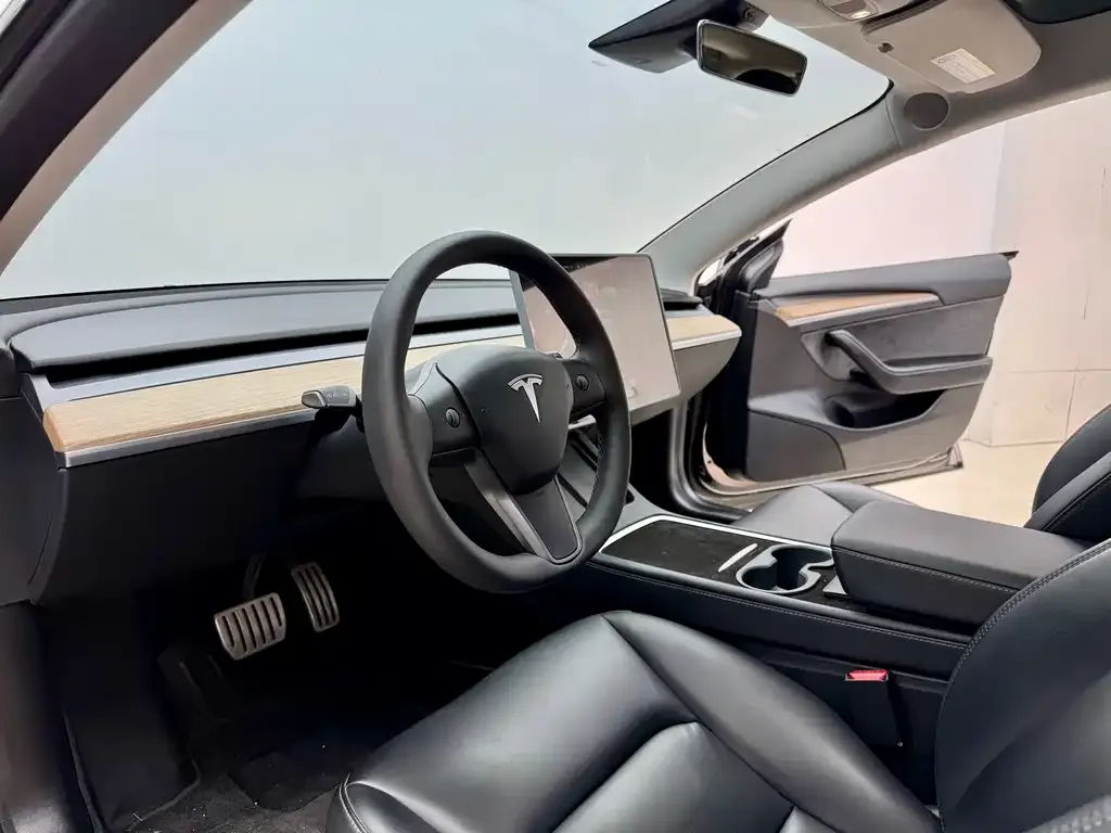 Tesla Model 3 2021 из CN, фото 8