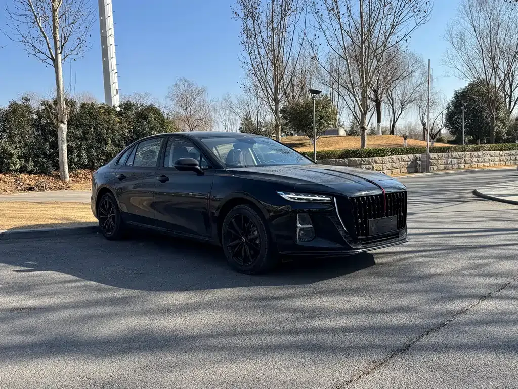 Hongqi H5 2024 из CN, фото 3
