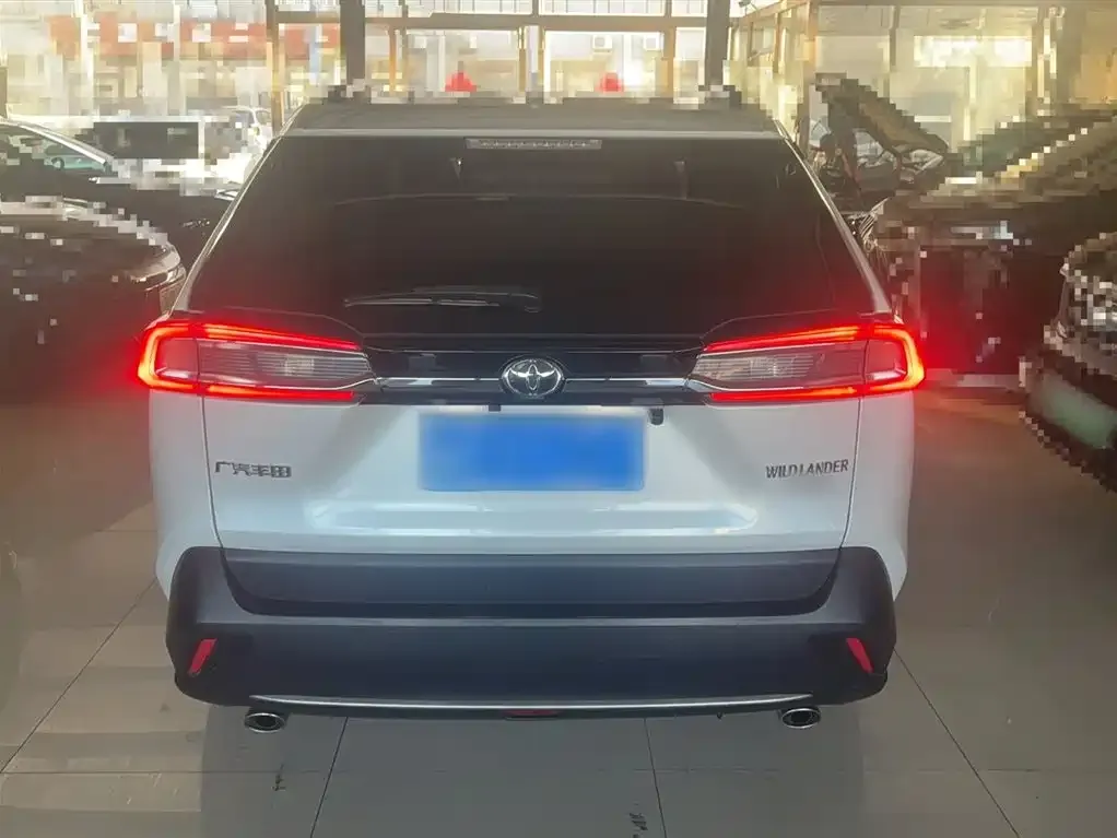 Toyota Wildlander 2021 из CN, фото 6