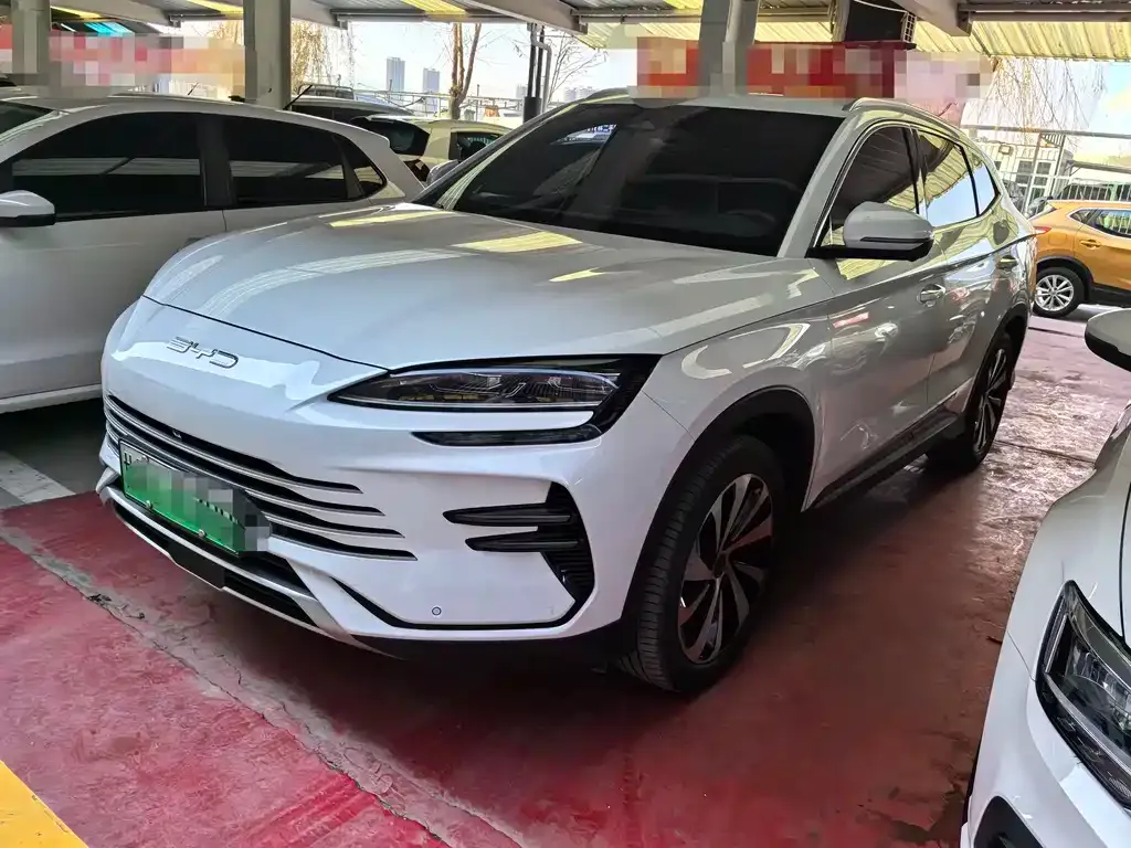 BYD PLUS New Energy 2024 из CN, фото 1