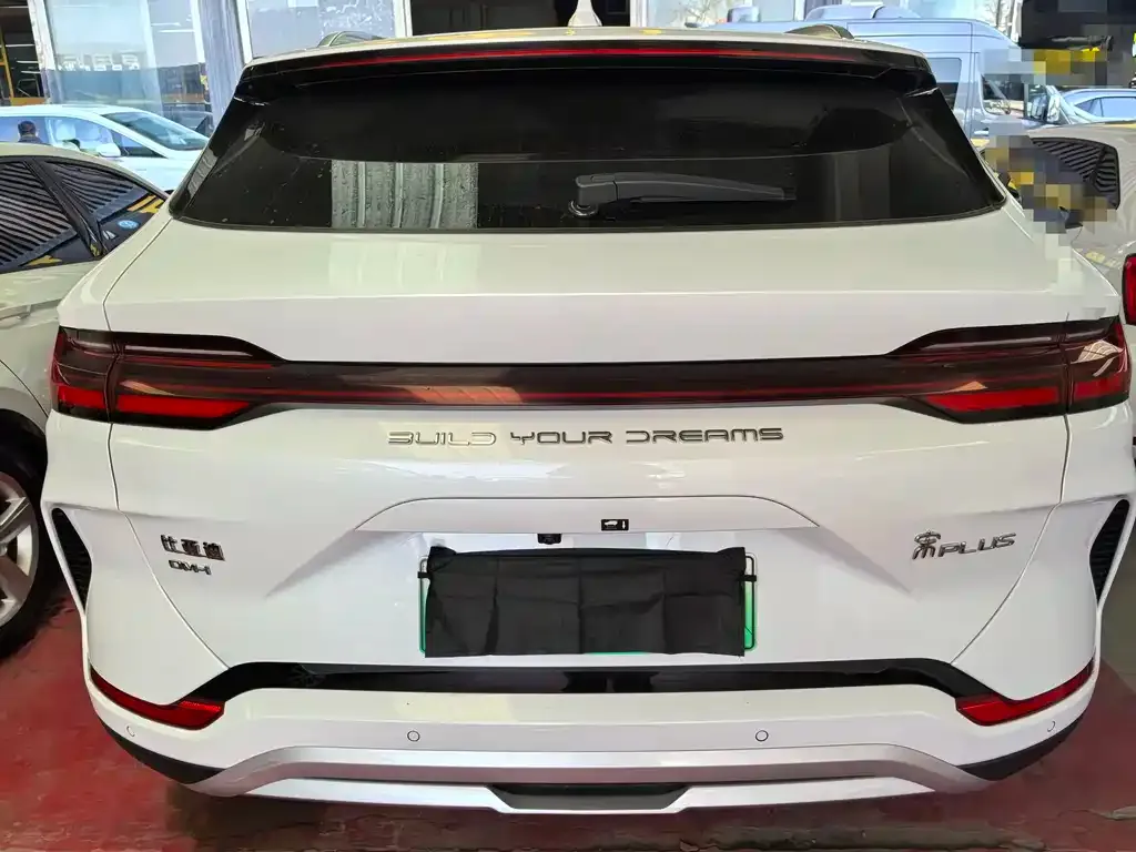 BYD PLUS New Energy 2024 из CN, фото 2