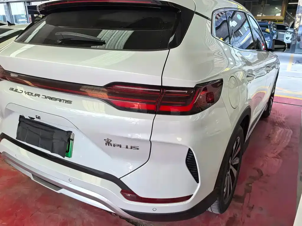 BYD PLUS New Energy 2024 из CN, фото 6