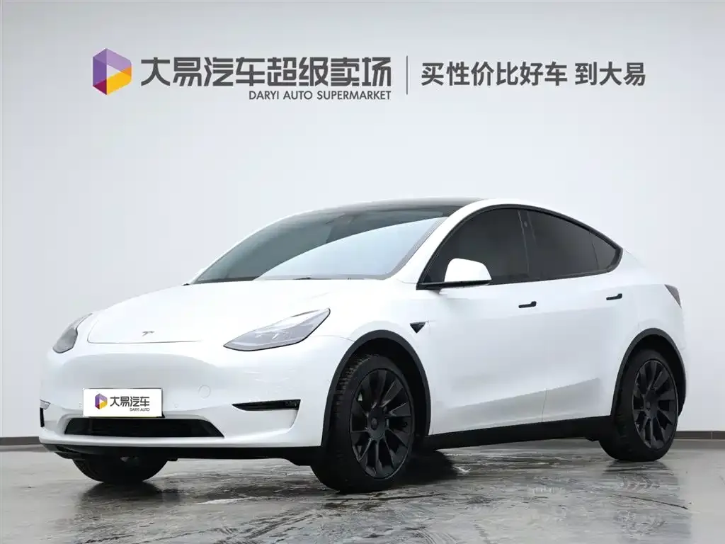 Tesla Model Y — фото 1