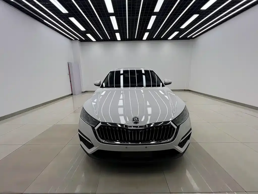 Skoda Octavia 2021 из CN, фото 2