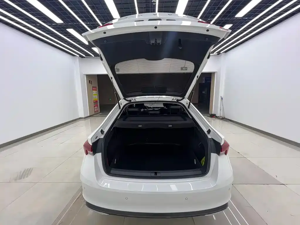 Skoda Octavia 2021 из CN, фото 6
