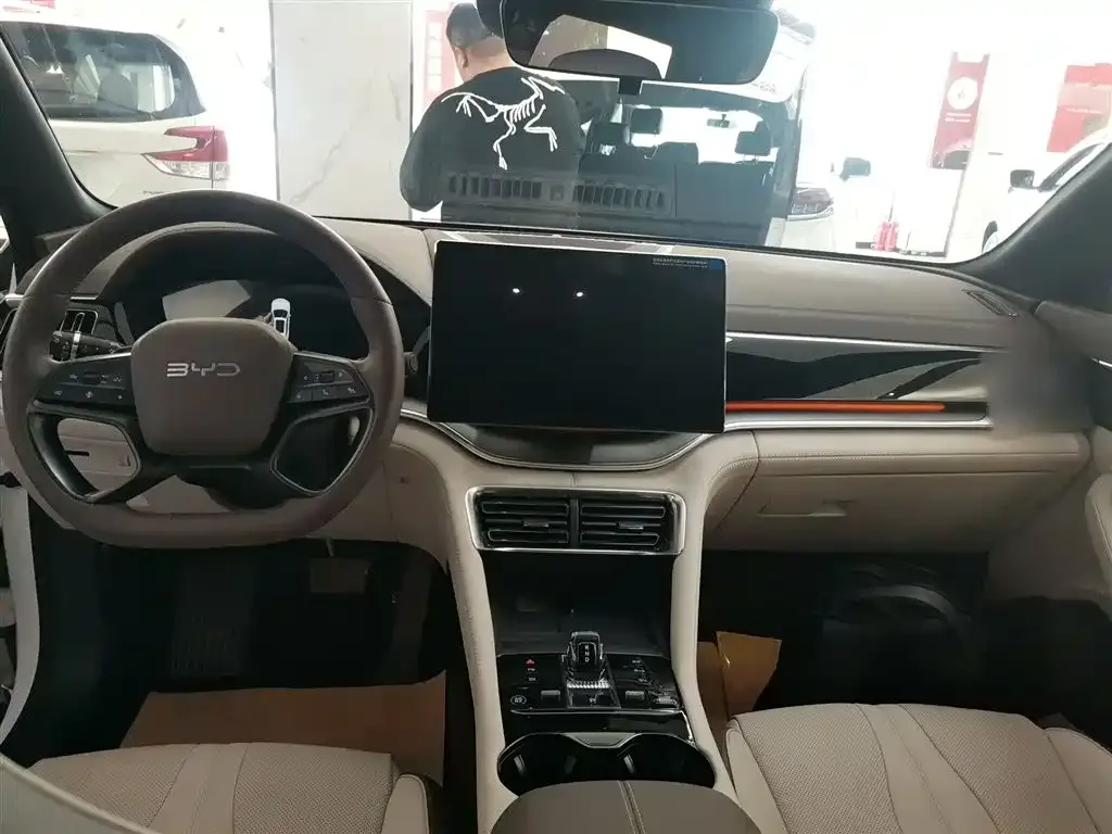 BYD PLUS New Energy — фото 10