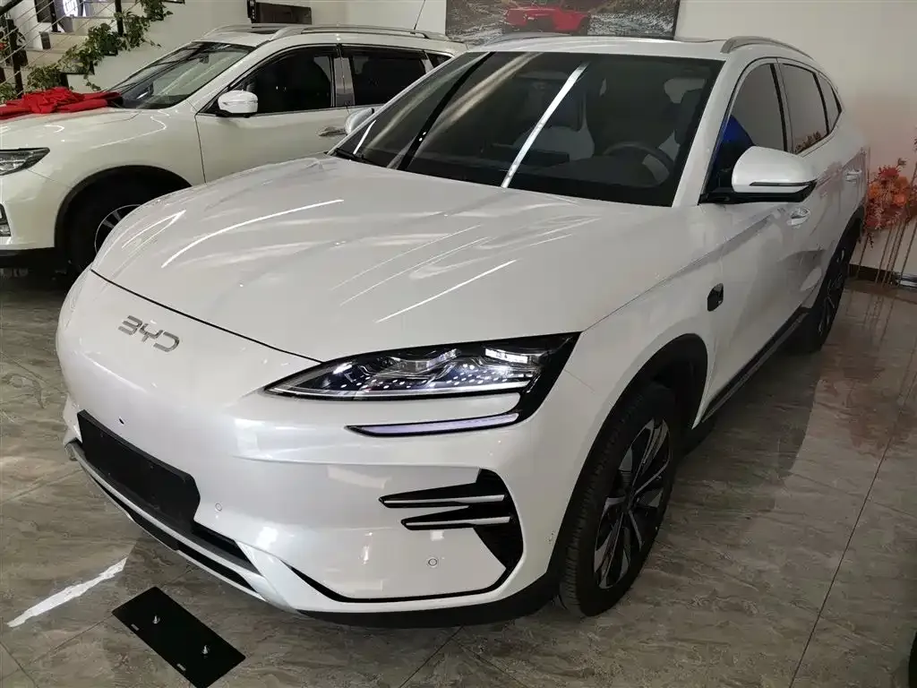 BYD PLUS New Energy — фото 2