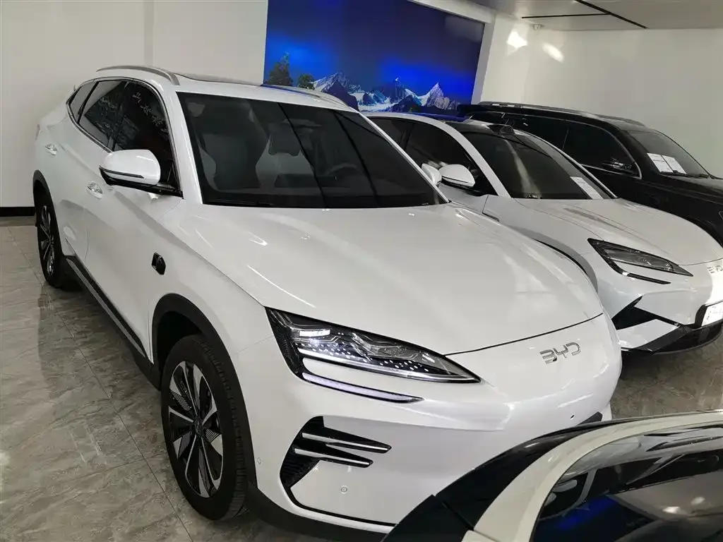 BYD PLUS New Energy — фото 3