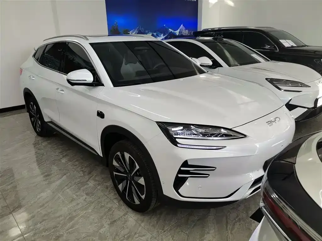 BYD PLUS New Energy — фото 4