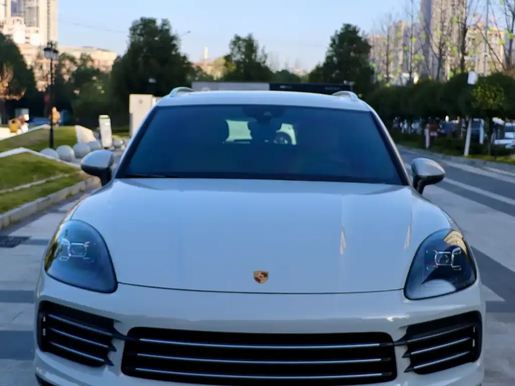 Porsche Cayenne 2022 из CN, фото 2
