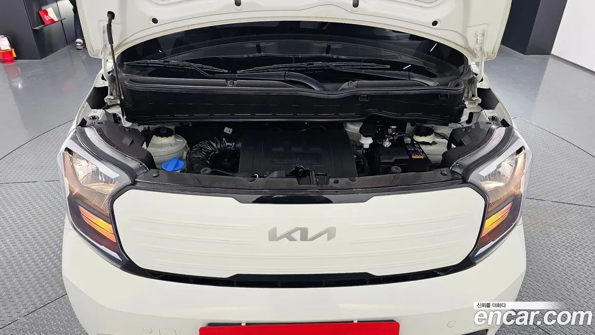 [object Object] RAY 2023 из KR, фото 6