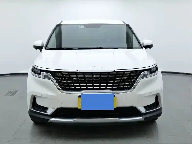 Kia Carnival 2023 из CN, фото 6