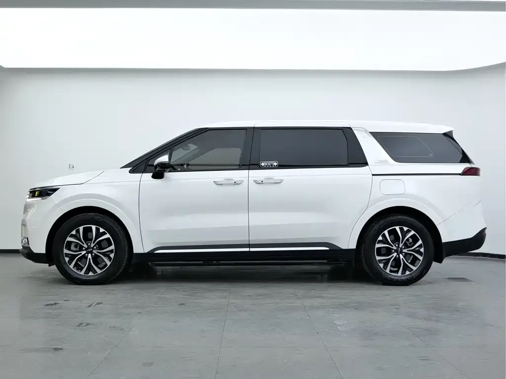 Kia Carnival 2023 из CN, фото 8