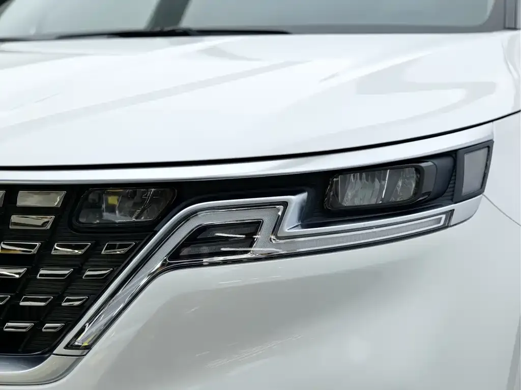 Kia Carnival 2023 из CN, фото 7