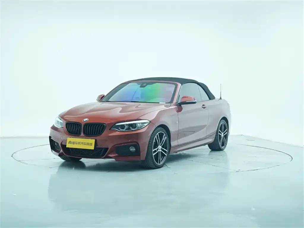 BMW 2 Series (Import) 2021 из CN, фото 6