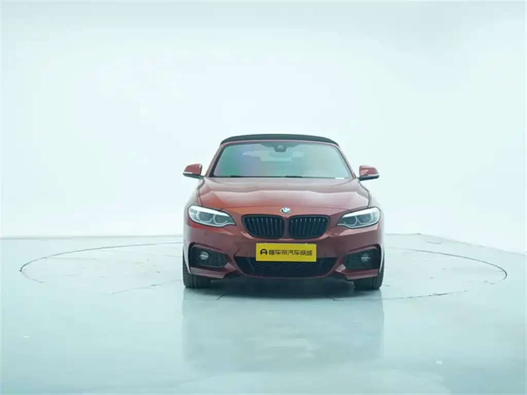 BMW 2 Series (Import) 2021 из CN, фото 4