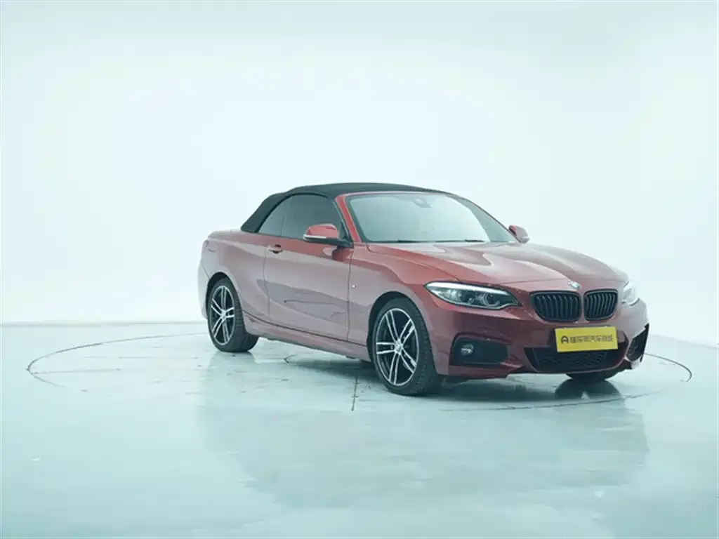 BMW 2 Series (Import) 2021 из CN, фото 3
