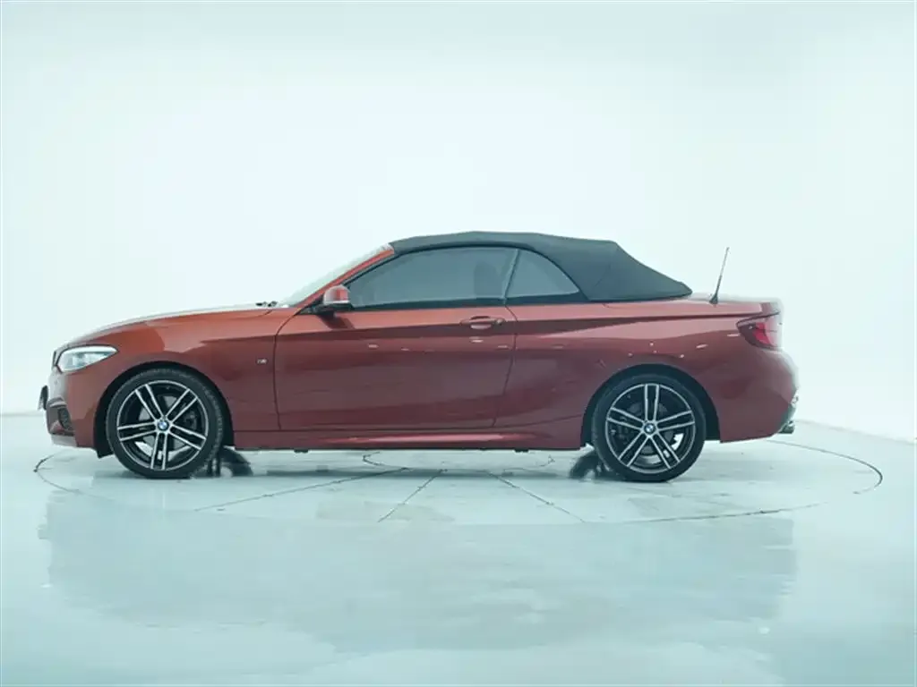 BMW 2 Series (Import) 2021 из CN, фото 8