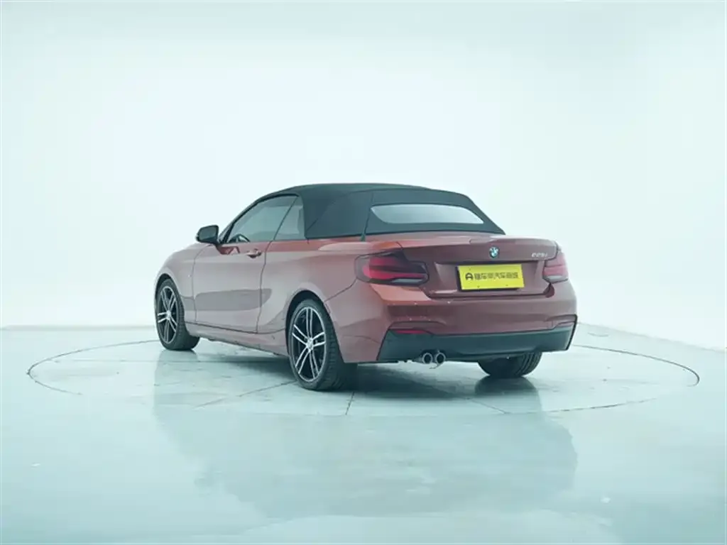 BMW 2 Series (Import) 2021 из CN, фото 5