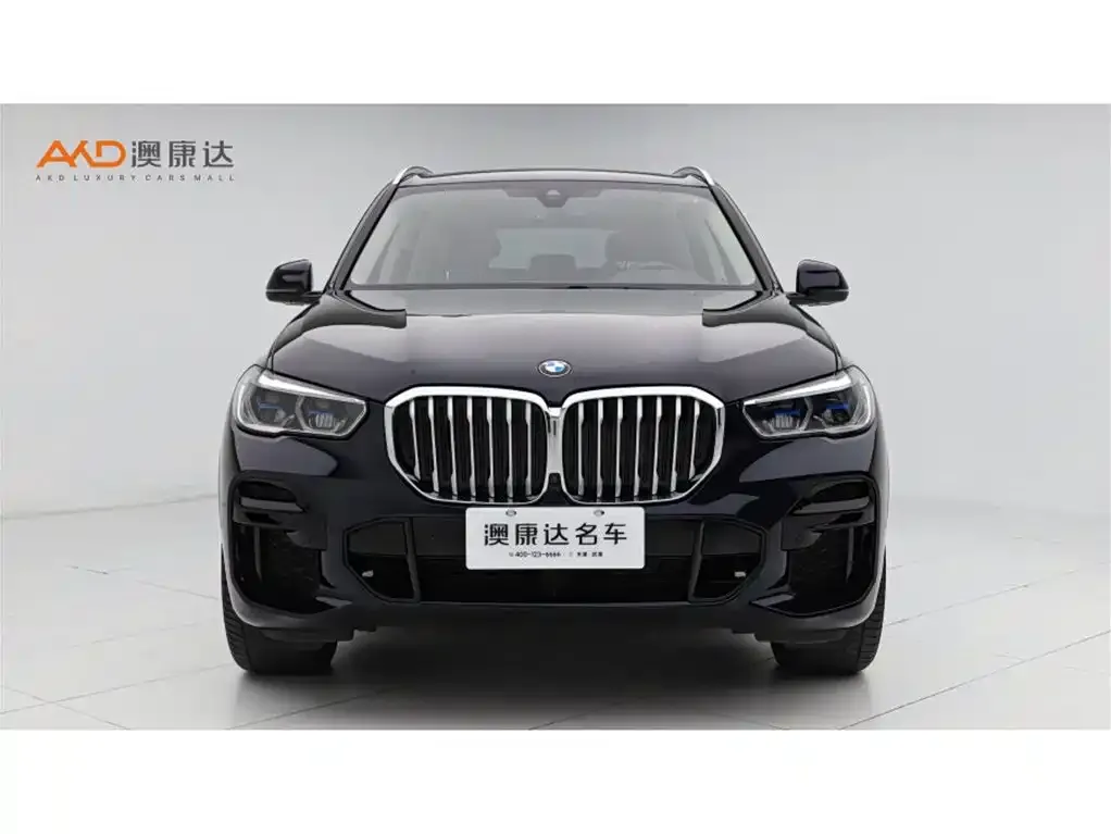 BMW X5 (Import) 2022 из CN, фото 3