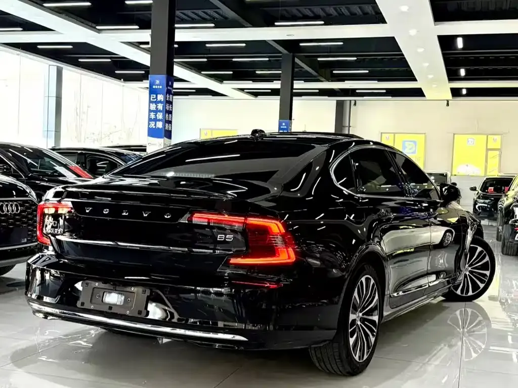 Volvo S90 2024 из CN, фото 6