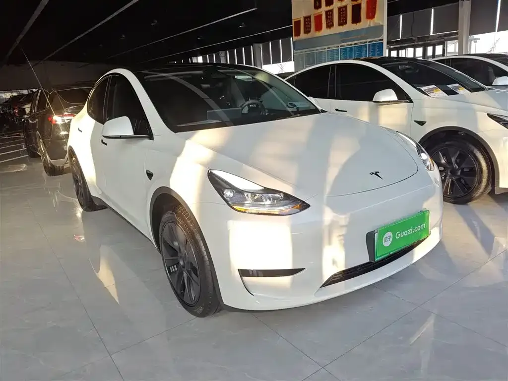 Tesla Model Y — фото 9
