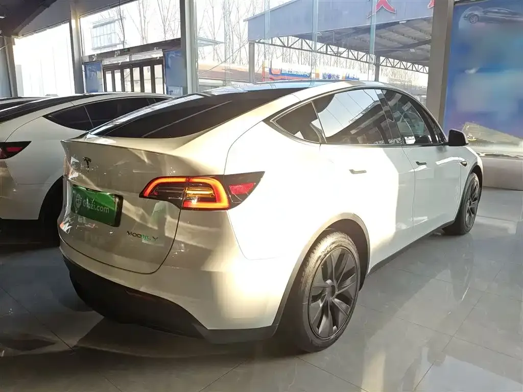 Tesla Model Y — фото 10
