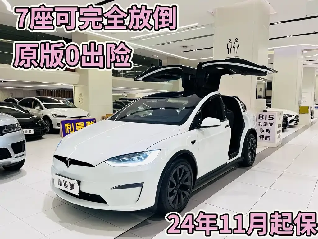 Tesla Model X — фото 1