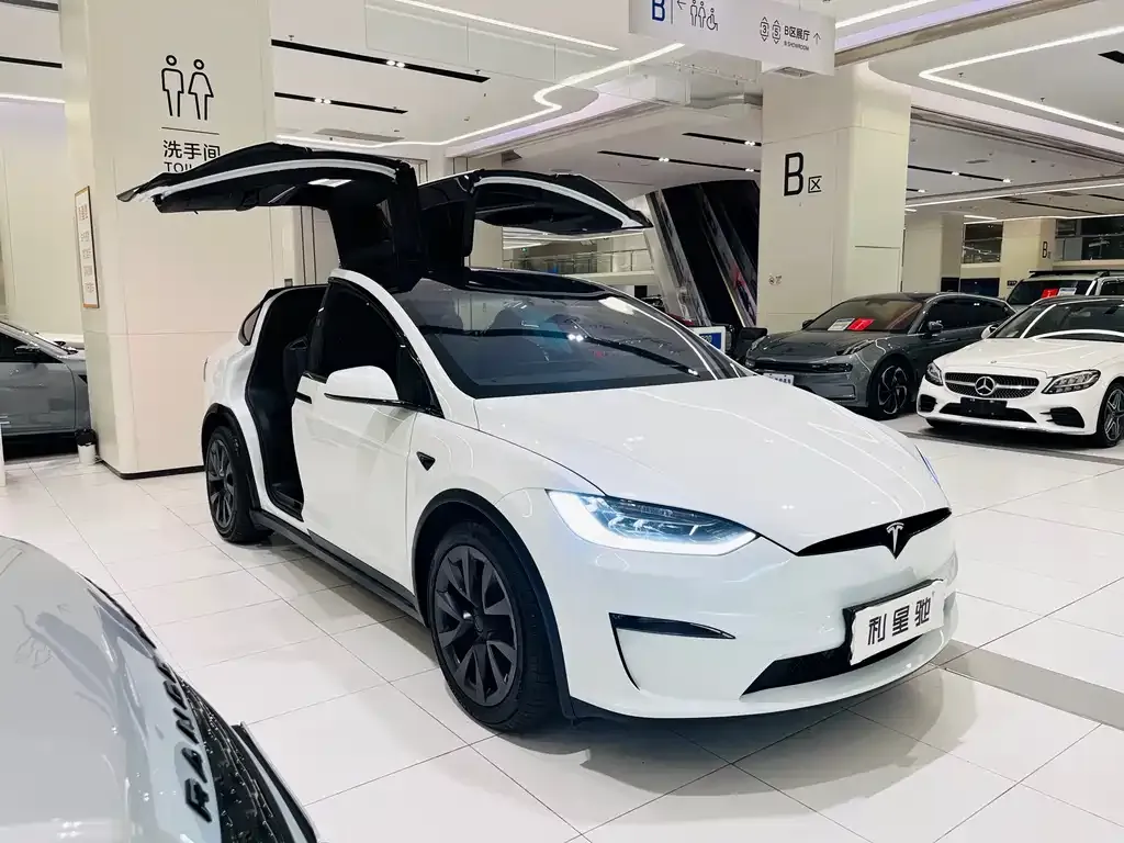 Tesla Model X — фото 9
