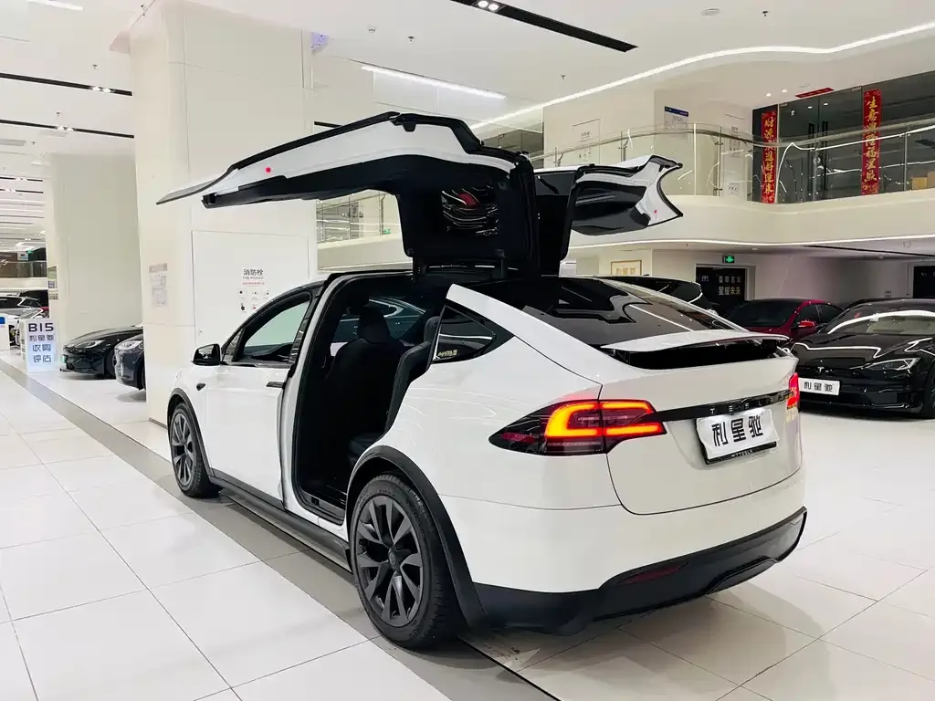 Tesla Model X — фото 6