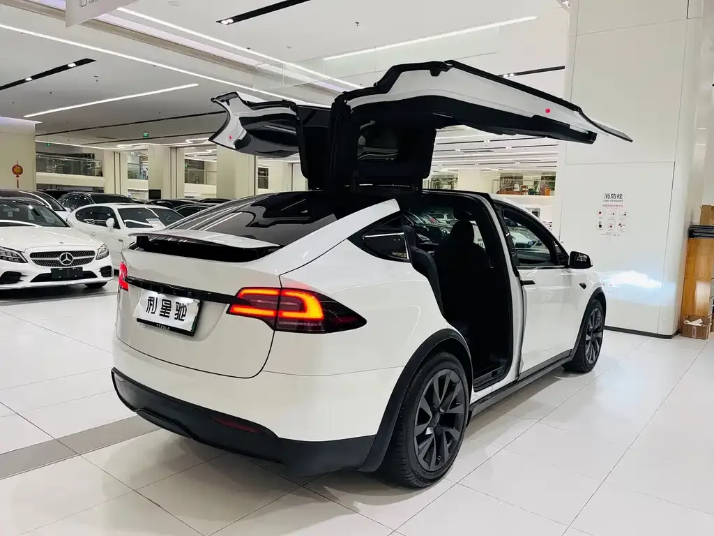 Tesla Model X — фото 3