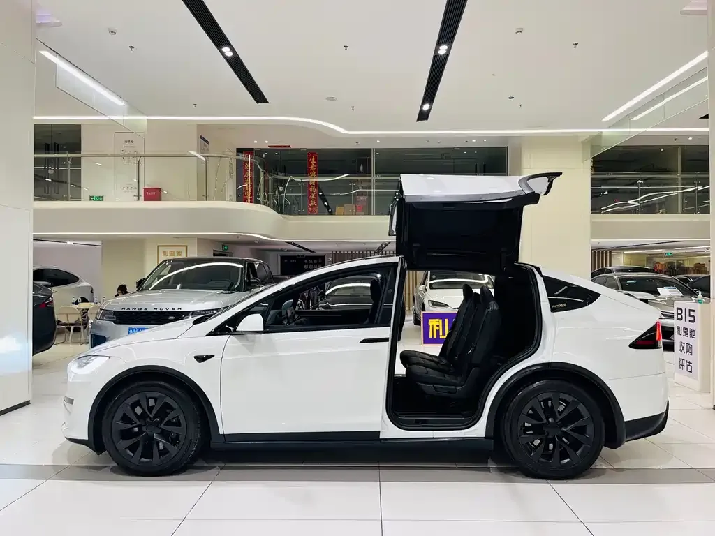 Tesla Model X — фото 7