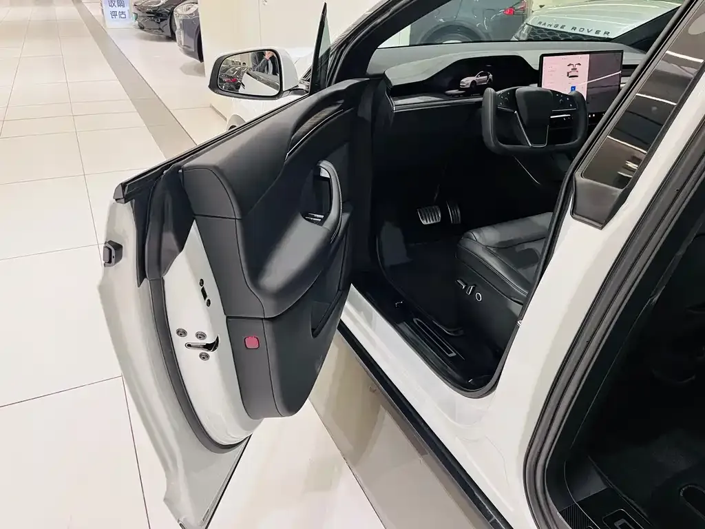 Tesla Model X — фото 10