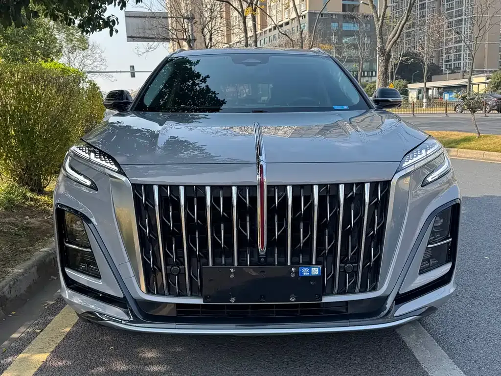 Hongqi HS3 2023 из CN, фото 2