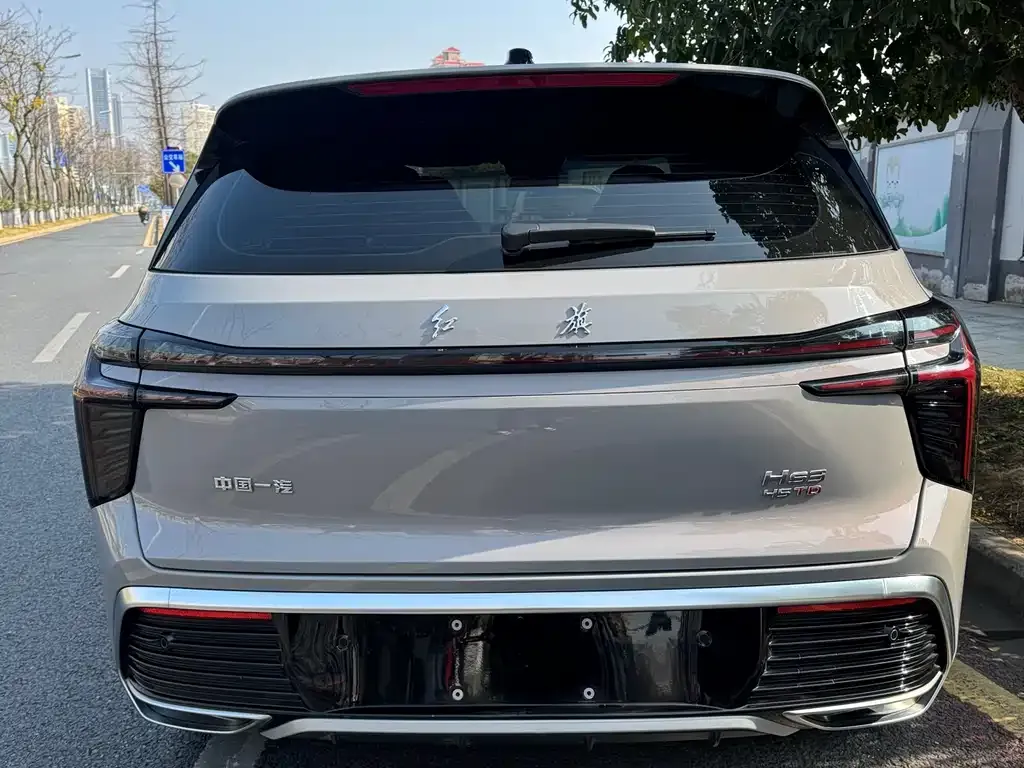 Hongqi HS3 2023 из CN, фото 7