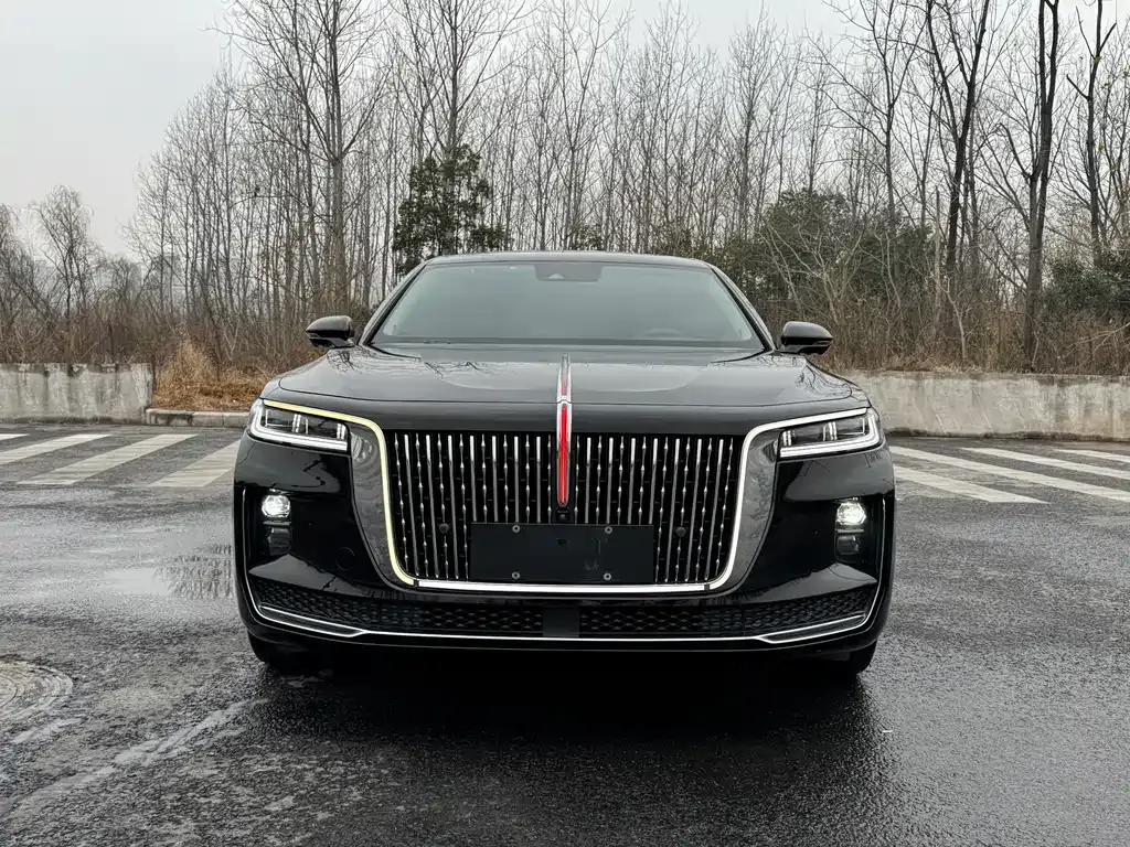 Hongqi H9 2021 из CN, фото 10