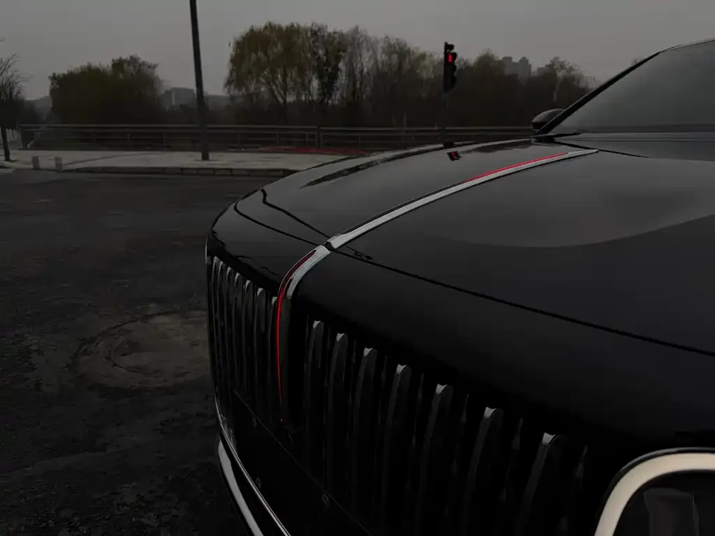 Hongqi H9 2021 из CN, фото 2