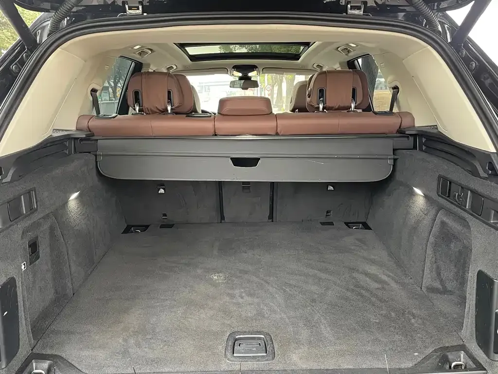 BMW X5 (Import) 2021 из CN, фото 4